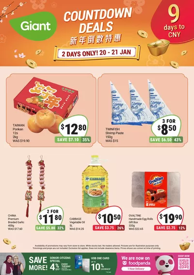 Giant catalogue in Singapore | 9 Days to CNY! | 20/01/2025 - 21/01/2025