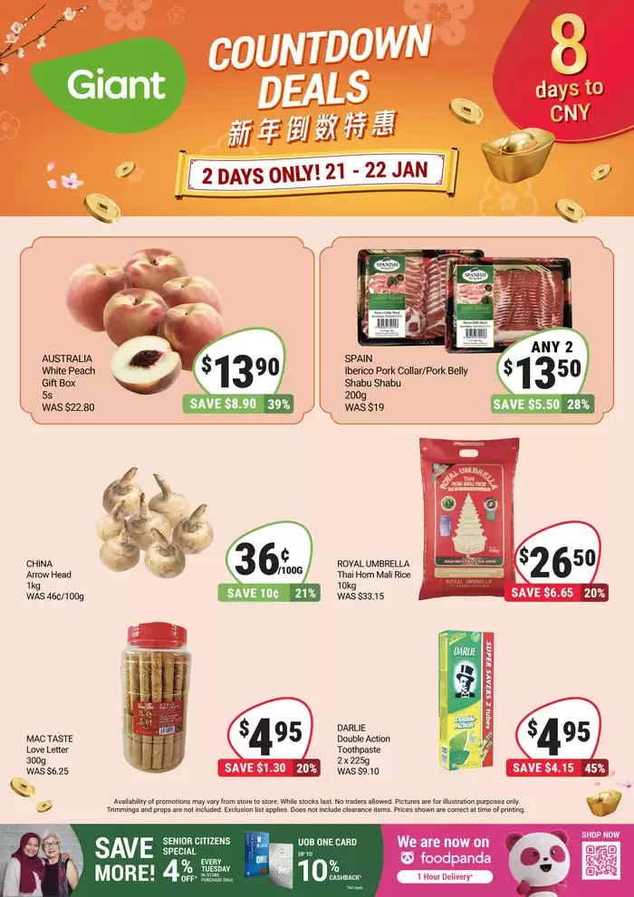 Giant catalogue in Singapore | 8 Days to CNY! | 21/01/2025 - 22/01/2025