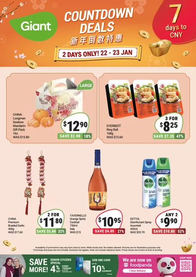 Giant catalogue in Singapore | 7 Days to CNY! | 22/01/2025 - 23/01/2025