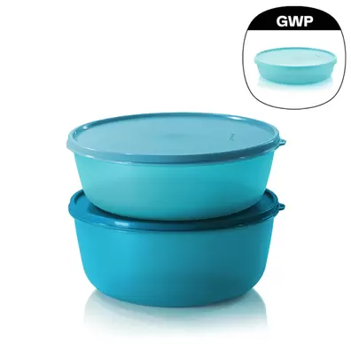 Modular Bowl Large Set offers at S$ 41.7 in Tupperware