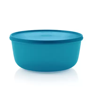 Modular Bowl Large (1) 4L offers at S$ 21.7 in Tupperware