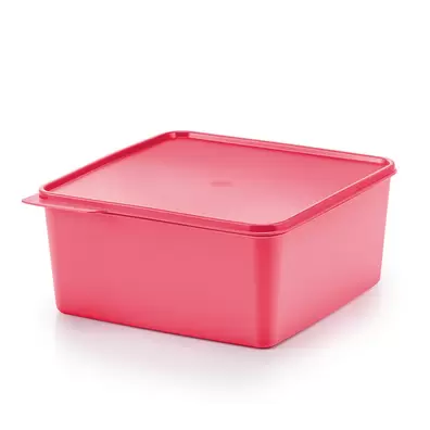 Basic Line (1) 5L offers at S$ 19.5 in Tupperware