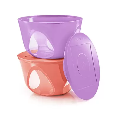 Outdoor Dining Bowl (2) 4.3L offers at S$ 33 in Tupperware