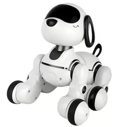 Playpop Radio-Controlled Robo Dog offers at S$ 39.49 in Toys R Us