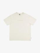 Mens Mikey T‑Shirt offers at S$ 37.9 in QUIKSILVER