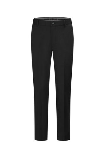Teflon Finishing Stain Resistant Suit Pants offers at S$ 69 in G2000