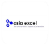 Asia Excel logo