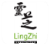 Info and opening times of LingZhi Vegetarian Singapore store on 541 Orchard Road 
